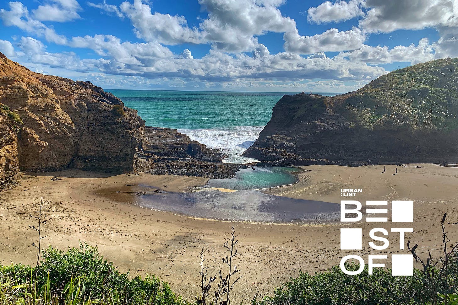 The tasman track at Piha